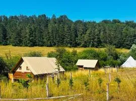 Ecodomaine Chemins de Traverse