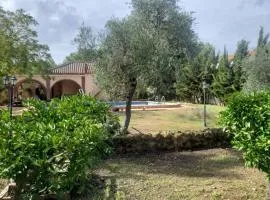 Chalet en La Celada-Carmona, Sevilla-