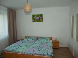 Apartament Joanna