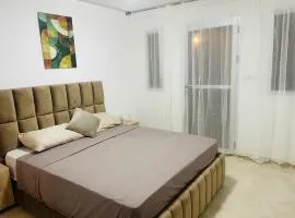 Appartement climatisé avec garage et ascenseur