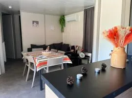 CHALET 10 chaleureux tout confort dans domaine avec Piscine au cœur des Landes bord de Lac avec plage aménagée