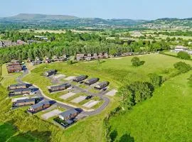 Ribble Valley View