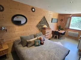 Font-Romeu studio residence