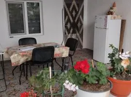Casa Diana