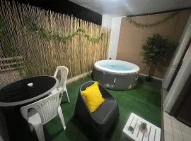 Joli F2 climatisé avec Jacuzzi - La Jacinthe
