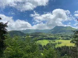 Chalet Lioran - Vue Plomb du Cantal - Terrasse Plein Sud - 5 pers