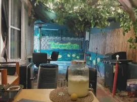 The Lemon House