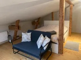 Cesis city apartment