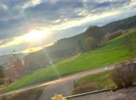 Superior Ferienapartment LATIBÜHL am SCHLUCHSEE am Waldrand mit Balkon, Pool, Tiefgarage und Abendsonne