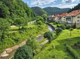 Apartament Salcia Slanic Moldova
