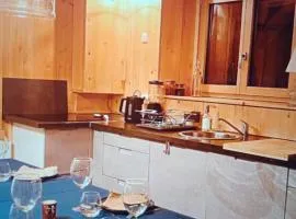 Beautiful Property in Flachau - Casa Albert