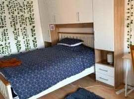 Double Bedroom In Family Shared Home