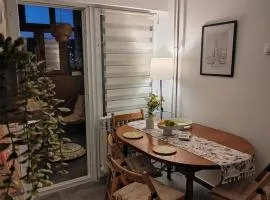 Apartman Kika Knjaževac