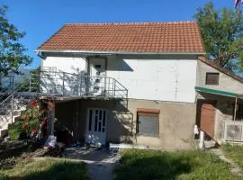 Apartman Selišta