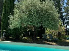 Brin d Ardèche