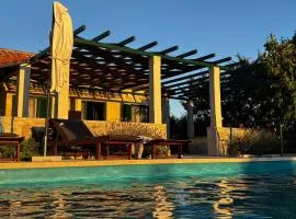 Secluded vacation house Bračuta with swimming pool