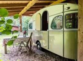 Waaldijk15, Vintage Caravans in nature