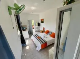 Puravida # 1