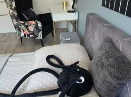 Apartament Ustrzyki Dolne "Dark-Wolf"