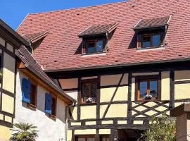 Spacieux gîte, les Petits Bouchons, entre Eguisheim et Colmar, au coeur du vignoble