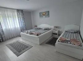 Casa De Oaspeti Anna