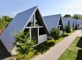 VLD House A Frame