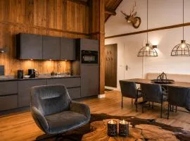 Stylish Loft Apartment with Mountain View near the Lake