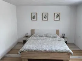 Apartma Sofiora