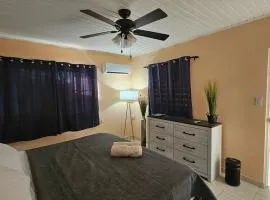 Paradise Nest