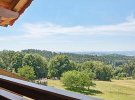 Traudi, hotel a Waldkirchen