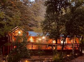 Termas de Chillán Family Cabin, готель у місті Recinto