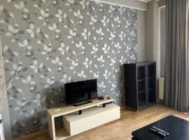 Cozy Rental Near Metro