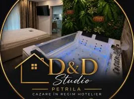 D&D Studio