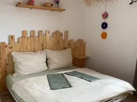 Jara Cimrman surf house