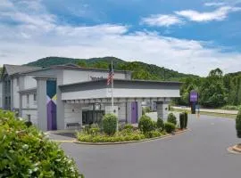 Spark by Hilton Asheville Blue Ridge Parkway