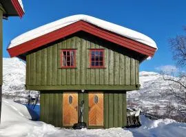 2 Bedroom Cozy Home In Tyinkrysset