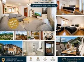 Spacious Apartment Senozece - with terrace & grill