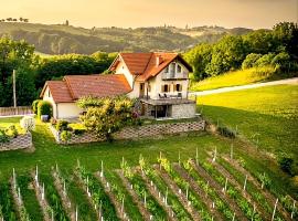 Villa Nives, wine region Jeruzalem, hótel í Ivanjkovci