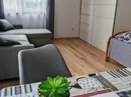 Apartamenty z basenem, grotą solną i sauną