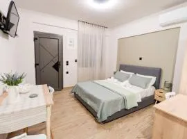 Nest Studio