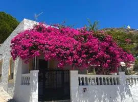 Bougainvillea Nest Panteli, Leros