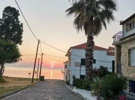 Oasis
