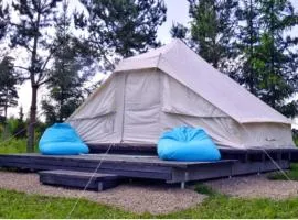 GLAMPLife