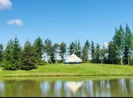 GLAMPLife