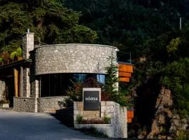 Soma Landscape Suites