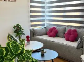 Jefimija Apartman Sokobanja