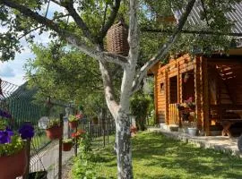 Guest House Kollata