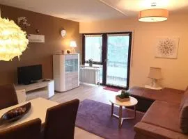 Wohnung mit traumhaftem Bergblick