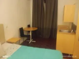 Telhado solitario