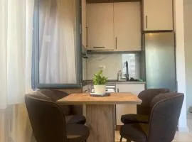 BIJELA apartman 2025